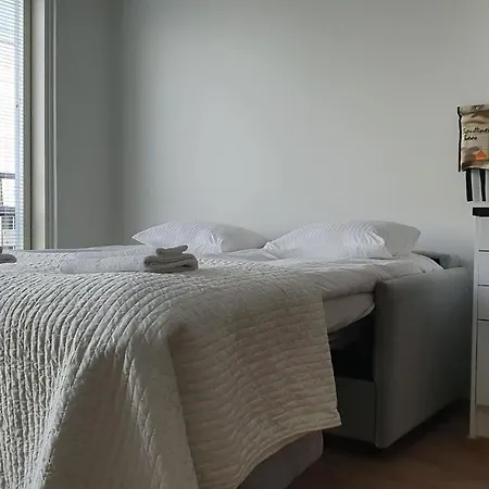 Parvekkeellinen Yksioe Keskustassa アパート *